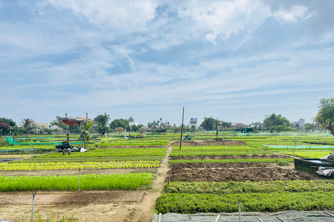 Hoi An: Tra Que, Bosque de Cocoteros, Clase de Linternas, Ciudad Antigua