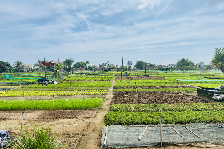 Hoi An : Tra Que, forêt de cocotiers, cours de lanterne, ville ancienne