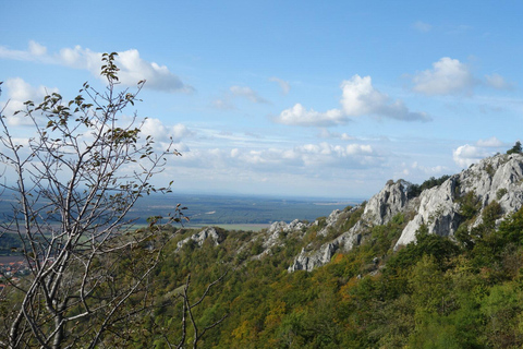 From Vienna: Bratislava & Countryside Guided Half Day Tour Private Tour