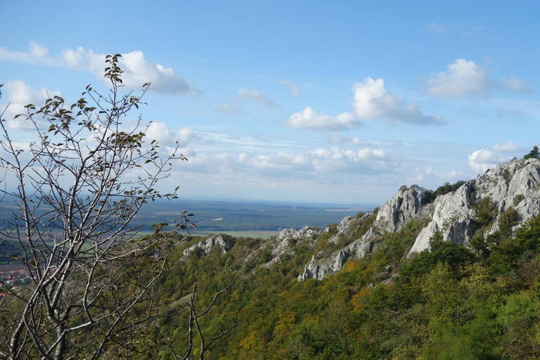 From Vienna: Bratislava & Countryside Guided Half Day Tour Private Tour