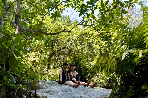Chiang Mai: Bua Thong Sticky Waterfalls with Hotel Transfer Sticky Waterfalls with Hotel Transfer
