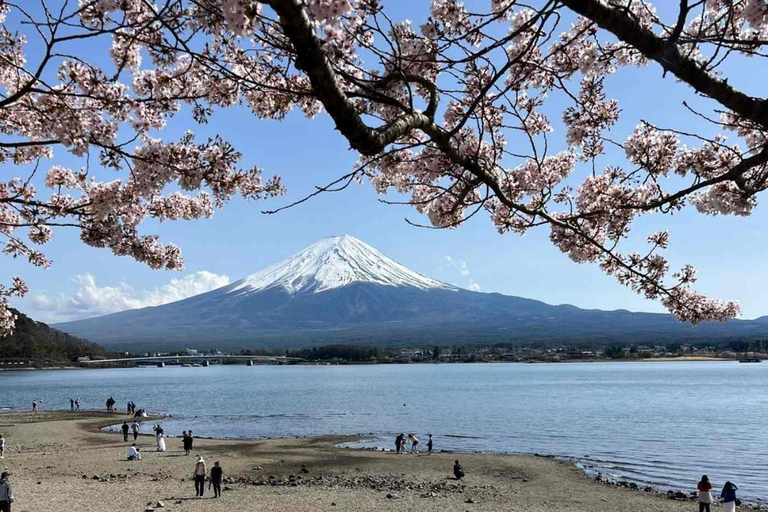 Tokyo: Mount Fuji Affordable Customizable Private 1-Day Tour Mount Fuji one day Private tour in Luxury Land Cruiser