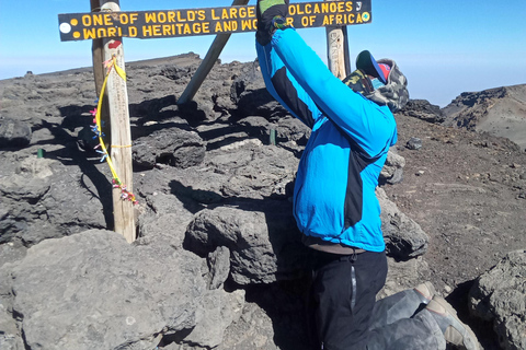 Kilimangiaro: tour di 7 giorni sulla Machame Route