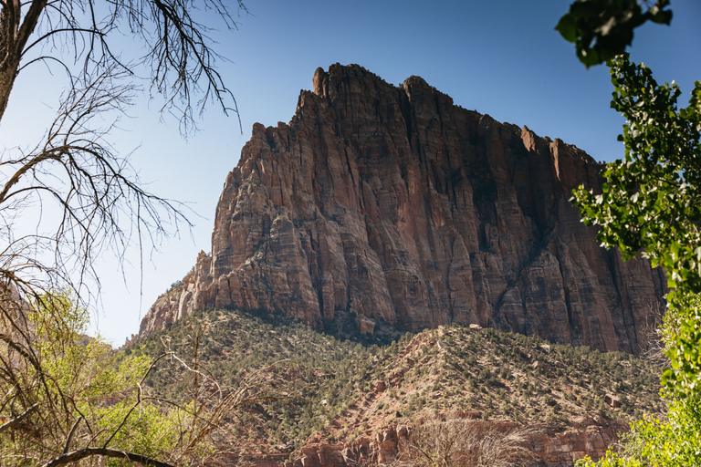 Las Vegas : Visite des parcs nationaux Bryce et Zion avec déjeunerLas Vegas : parcs nationaux de Bryce et Zion avec déjeuner