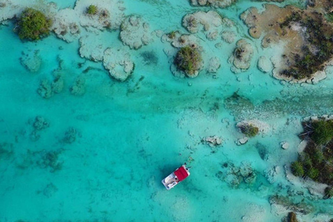Bacalar: Swimming in a Cenote and a Lagoon with Crystal-Clear Waters Bacalar: Swimming in a cenote and a lagoon with crystal-clear waters