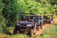 Bel Ombre Nature Reserve, Double Quad Bike Tour - Housity