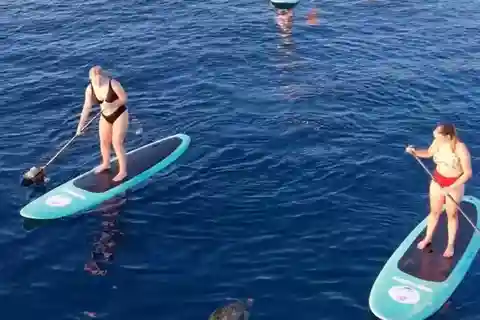 Gili sunrise stand-up paddle boarding (drone photoshoot)