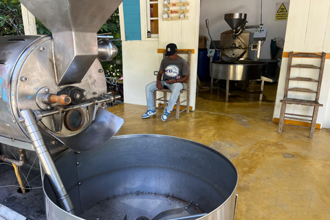 Country Coffee Farm Tour with Tasting and Lunch