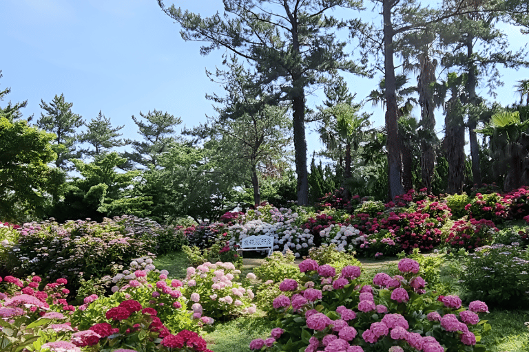 Jeju Occidental y Meridional: Excursión al Festival de la Hortensia