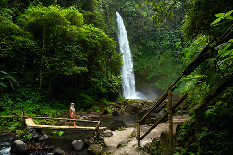 Bali: Private Jungle Swing, Waterfall & Rice Paddy Tour Private Tour with Entrance Fess