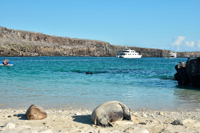 Galápagos Seaman Journey Itinerário A 4D - 3N (2024)Cabine dupla standard -Alojamento individual (13 de dezembro - 16 de dezembro)