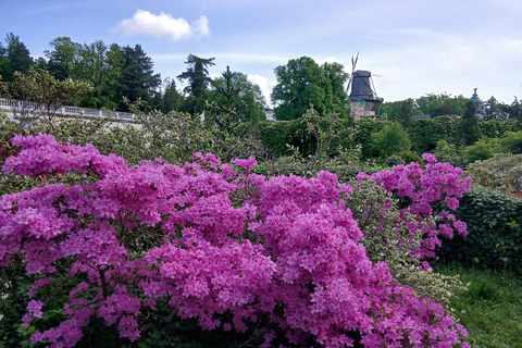Frederick the Great and Sanssouci Guided Walking Tour