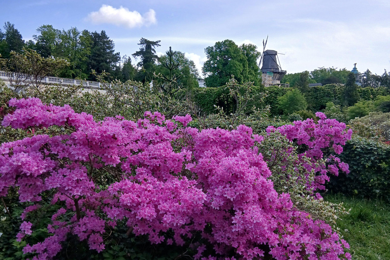 Frederick the Great and Sanssouci Guided Walking Tour