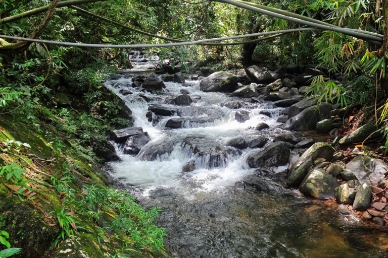 Circuit privé et personnalisé dans la forêt tropicale de Sinharaja