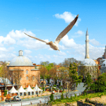 Istanbul: biglietto d'ingresso per Santa Sofia con audioguida