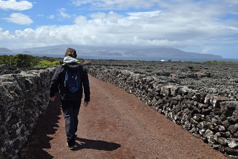 Breathe in Pico — Hike & Meditation
