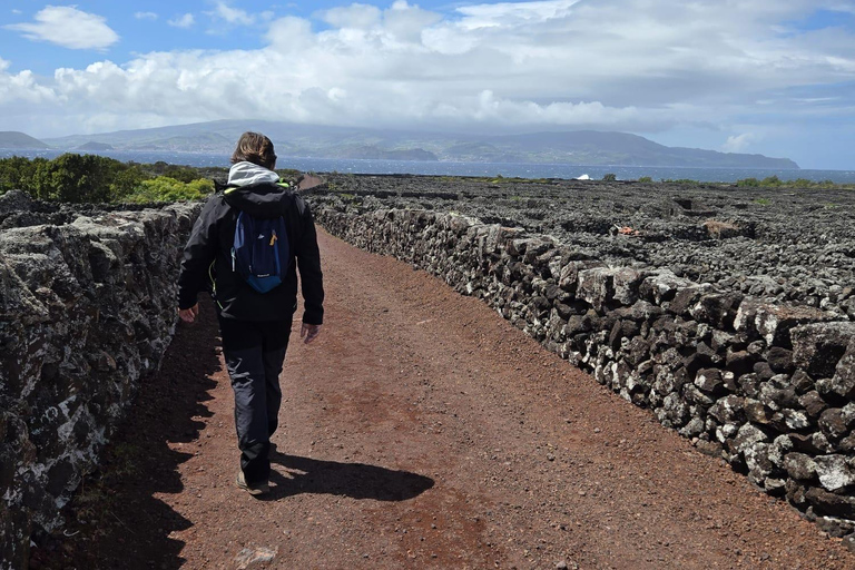 Breathe in Pico — Hike & Meditation