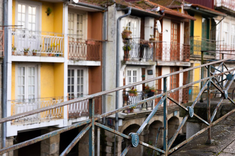 Porto: Intimate Fado Concert in a Typical Venue Dauly concert