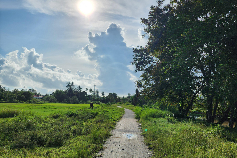 Langkawi : Countryside Cycling Tour