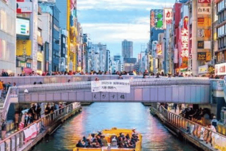 From Osaka: Private Customisable Osaka Full Day Tour By Car