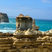Melbourne: Private Great Ocean Road & 12 Apostles Tours