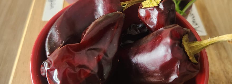 Atelier à Cambo-les-Bains : visite, dégustation, création d'huile pimentée