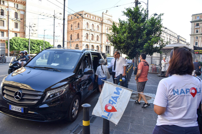 Pompeii Tour from Naples by Mercedes Minivan with Guide