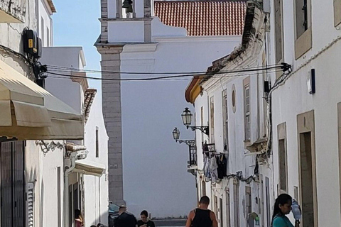 Von Albufeira: Tour nach Lagos, Sagres, Silves und Monchique