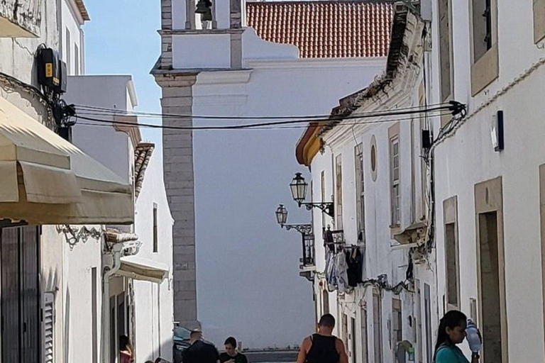 Depuis Albufeira : visite de Lagos, Sagres, Silves et Monchique