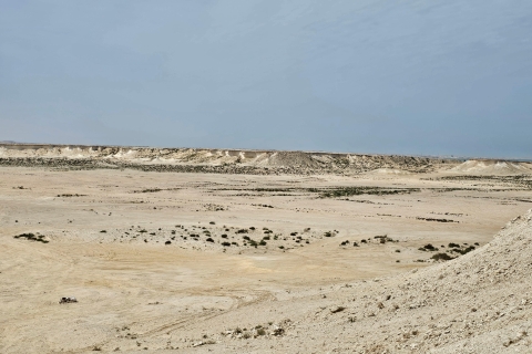 Zachodni Katar, Camel Track, rzeźba Richarda Serry, Brooq Rock