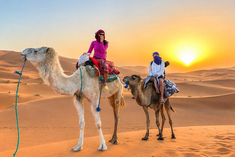 Marrakesh: Sahara Desert Tour From Marrakech 3D2N & Glamping Standard Group Tour