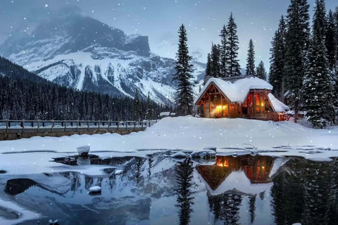 Fairbanks: Aurora Viewing Lodge – Deine Polarlicht-LodgeFairbanks: Aurora Viewing Lodge