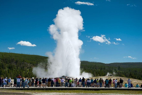 From Bozeman: Classic Yellowstone Tour (2 Days & 1 Night)