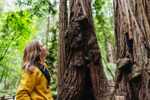 Ab San Francisco: Muir Woods, Riesenmammutbäume & SausalitoTour mit Fahrradverleih für 4 Stunden