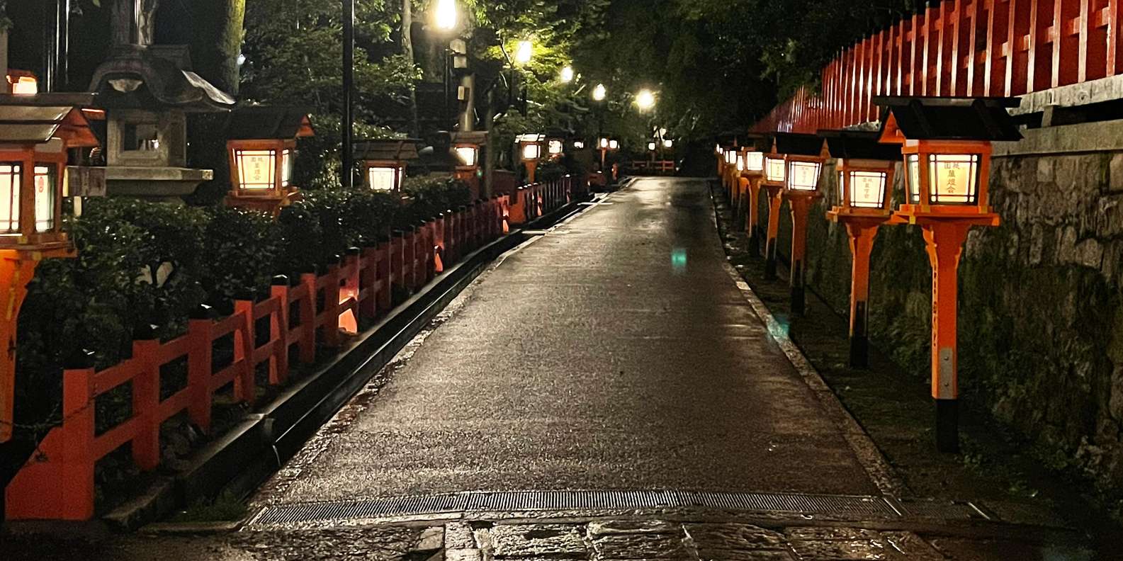 Kyoto experience — temples, geisha, bamboo grove — image 13