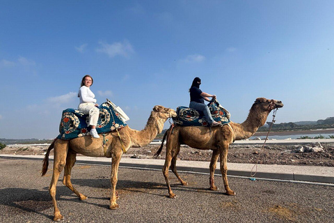 Agadir: Private Souss River Camel Ride with Pickup
