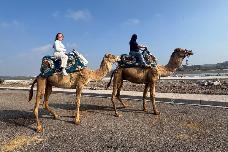 Agadir: Private Souss River Camel Ride with Pickup