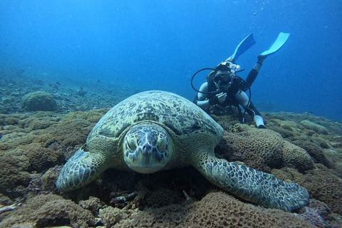 Lombok: Gili eilanden rondvaart met glazen bodem en snorkelen