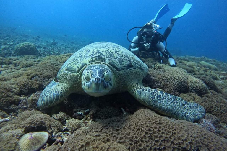 Lombok: Gili eilanden rondvaart met glazen bodem en snorkelen