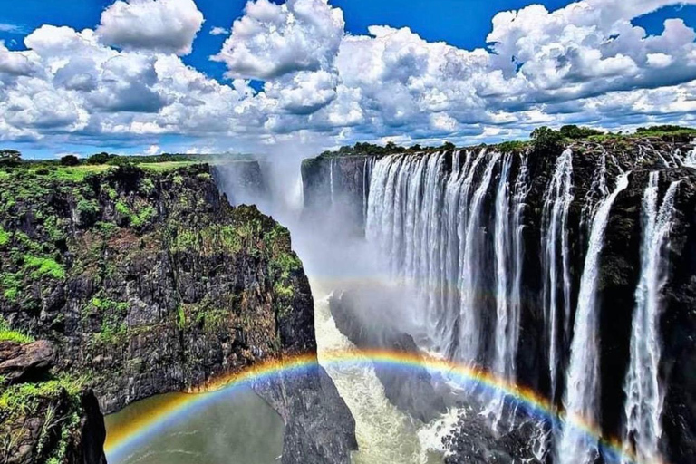 Victoria Falls: Guided Tour with Rainforest Walk