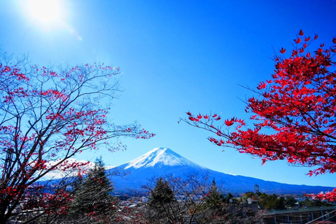 Tokyo: Full-day tour of the four Majestic spots of Mt Fuji