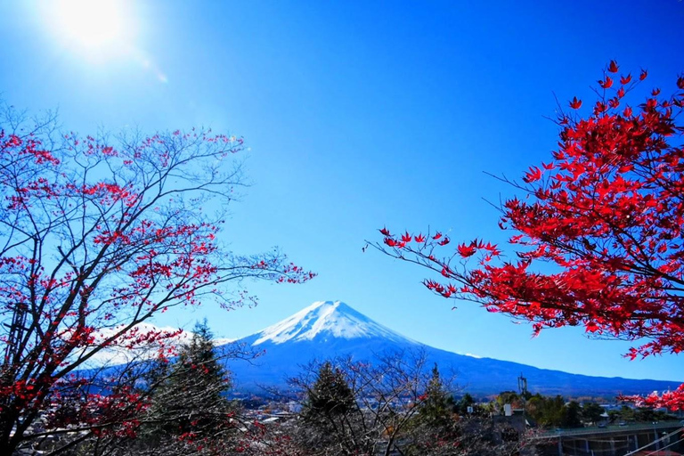 Tokyo: Full-day tour of the four Majestic spots of Mt Fuji