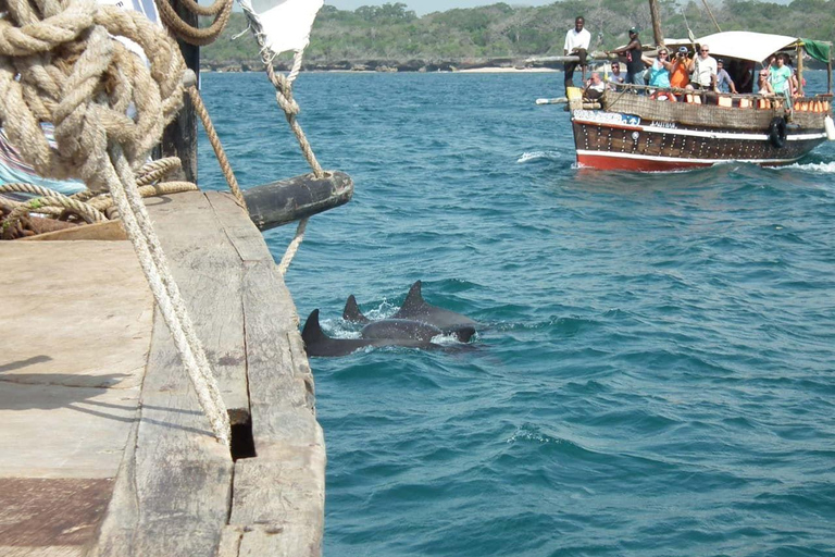 Wasini Island Tour For Dolphin Watching & Snorkeling