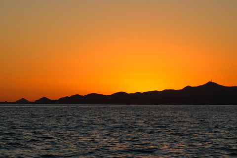 San Jose del Cabo Sunset Whale Watching
