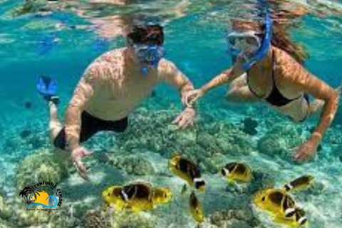 Zanzíbar: Excursión al atolón de Mnemba y experiencia de snorkel con delfines