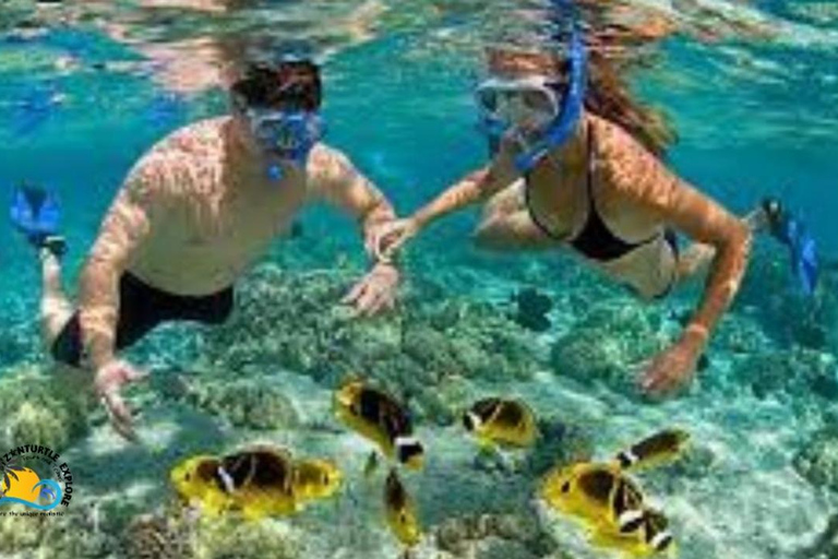 Zanzíbar: Excursión al atolón de Mnemba y experiencia de snorkel con delfines