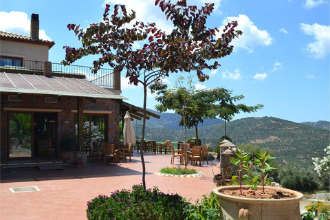 From Heraklion: Quad Safari Wild Crete Day Tour