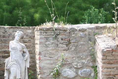 From Thessaloniki: Mt.Olympus–Dion, Litochoro & Enipeas