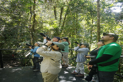 Vogelbeobachtung und Naturwanderung Tour bei KM18