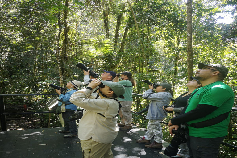 Visite à pied pour observer les oiseaux et la nature au KM18